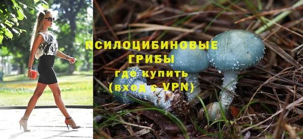 соль ск Бородино