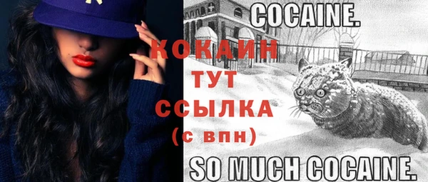 соль ск Бугульма