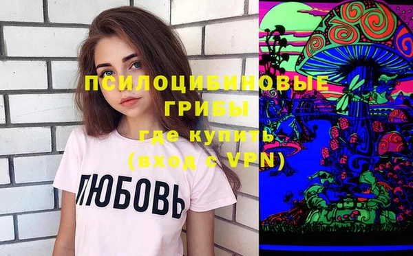 соль ск Бородино