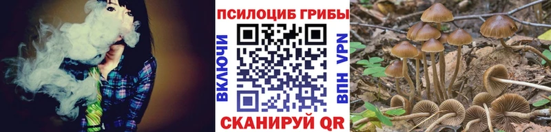 Галлюциногенные грибы ЛСД  Короча 